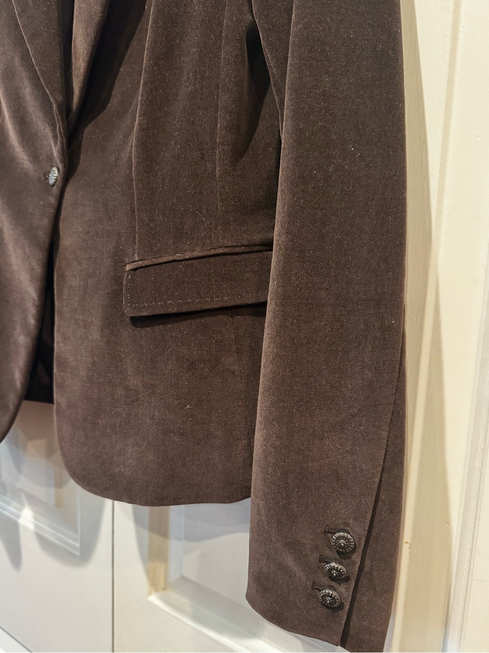 Tahari Brown Velvet Tailored One-Button Blazer - Picture 3 of 10